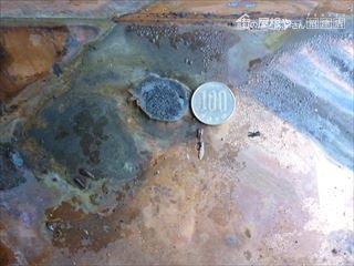 ビスの腐食