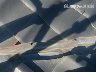 既存銅板