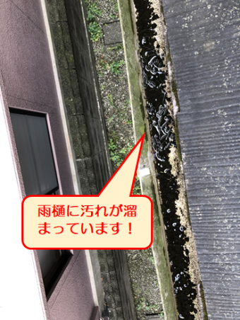 富士雨樋汚れ