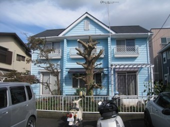 2回塗り