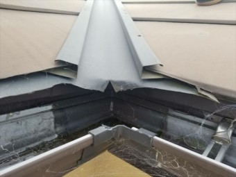 沼津市板金屋根