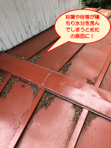 伊豆の国市 屋根枯葉