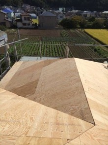 ラーチ合板張