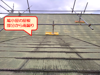 伊豆の国鳩小屋雨漏り