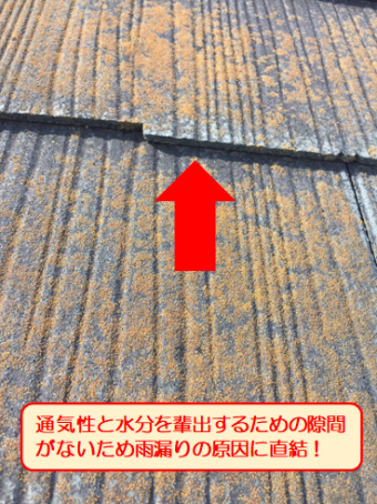 沼津カラーベスト縁切り