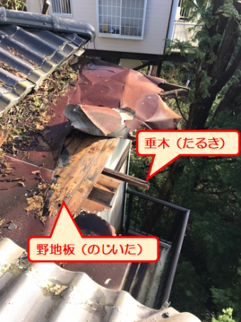 函南町台風トタンめくれ