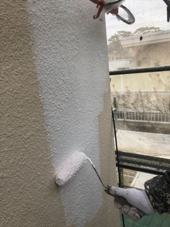 沼津市下処理