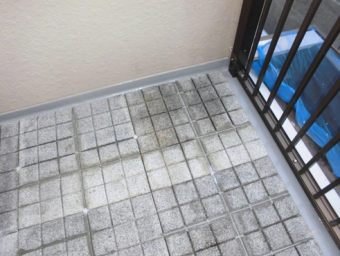 裾野ウレタン防水完工後