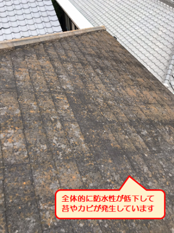 沼津コロニアル色褪せ
