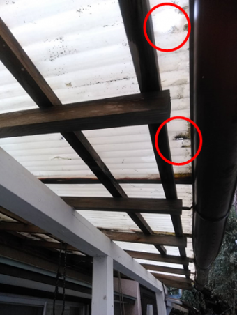 沼津テラス屋根穴