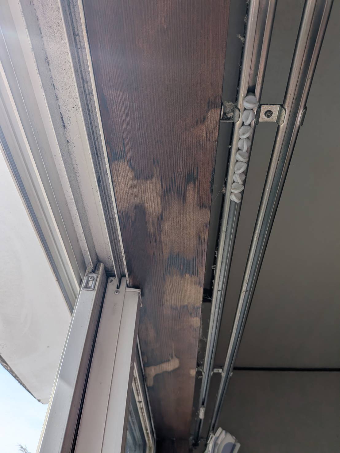 函南町室内雨染み