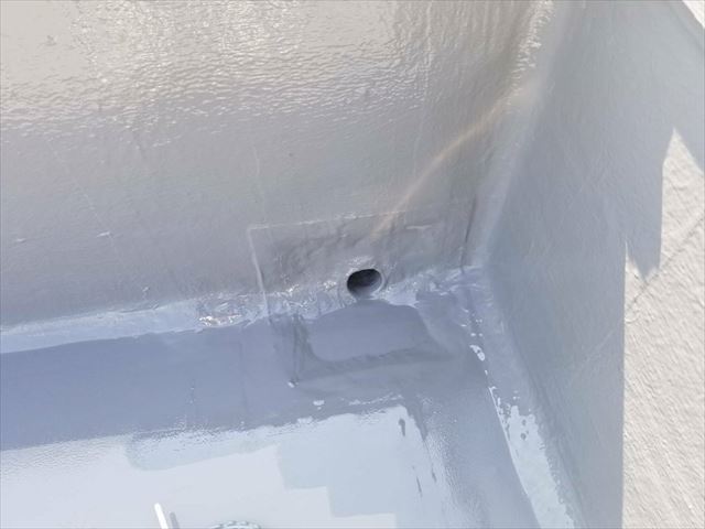 排水ドレイン廻り