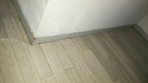 三島市 アパートの巾木・廻り縁塗装をご提案！入居率アップにもつながる内部塗装の現地調査