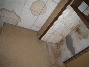 天井雨漏り部分のシミ
