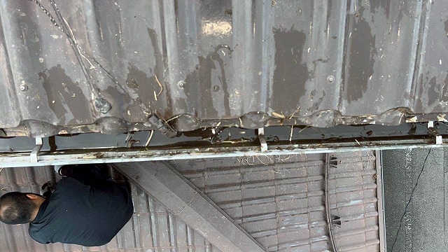 雨樋清掃作業