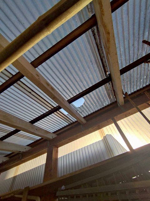 沼津市にて強風で物置の波板屋根が破損！ポリカへ張り替えをご提案