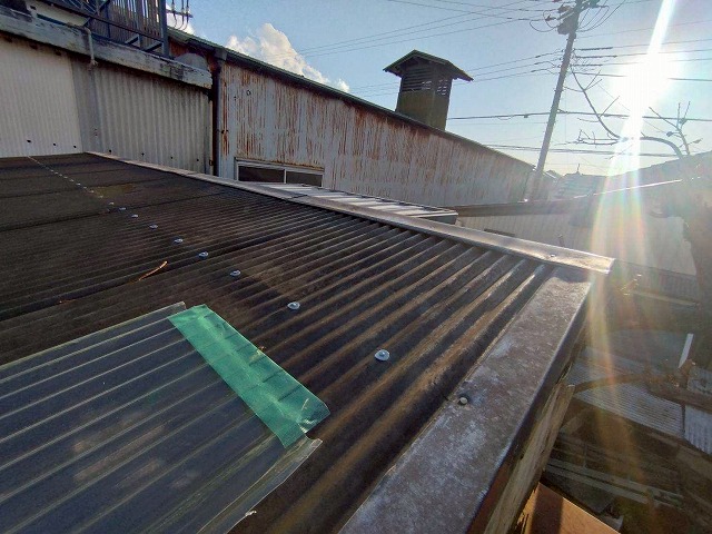 変色した波板