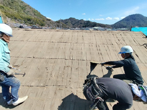 沼津市瓦屋根野地板