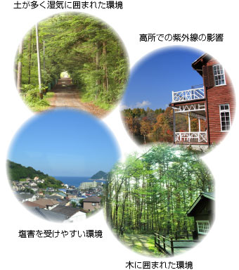 様々な自然の中にあるセカンドハウス